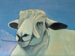 The Cotswold Ewe